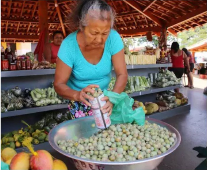 Guavirá: Símbolo de Mato Grosso del Sur consumida en la capital llega desde Paraguay,