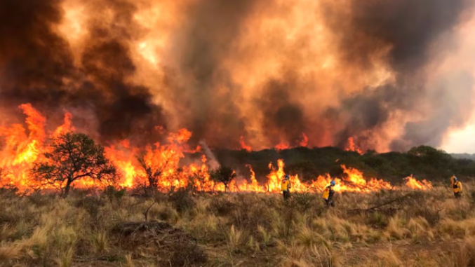 INFONA amplía el plazo de suspensión total de autorización de permisos de quema para evitar incendios forestales