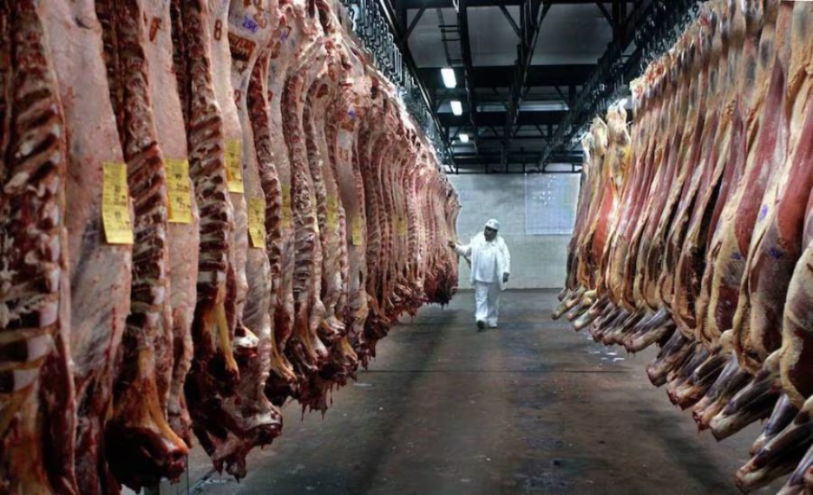 Paraguay logra habilitación para exportar carne vacuna a Canadá