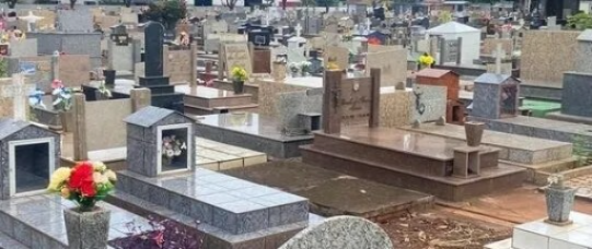 ¿A dónde fueron llevados los cuerpos robados del cementerio de Ponta Porã?