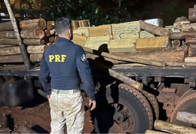 PRF incauta más de 2 toneladas de marihuana en medio de cargamento de eucalipto