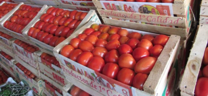 ¿Por qué los precios del tomate en Paraguay están por las nubes?