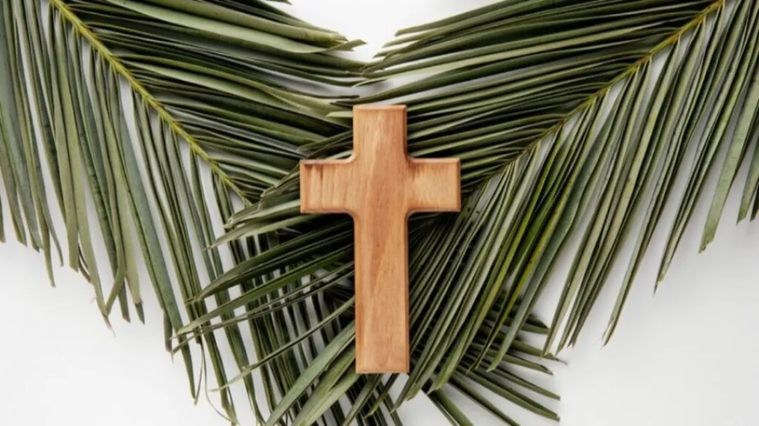 Este domingo celebramos el domingo de ramos 