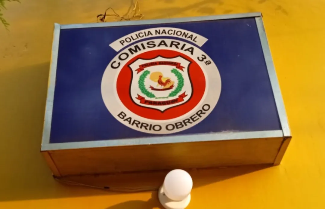 INFORME POLICIAL DEL DEPARTAMENTO DEL AMAMBAY