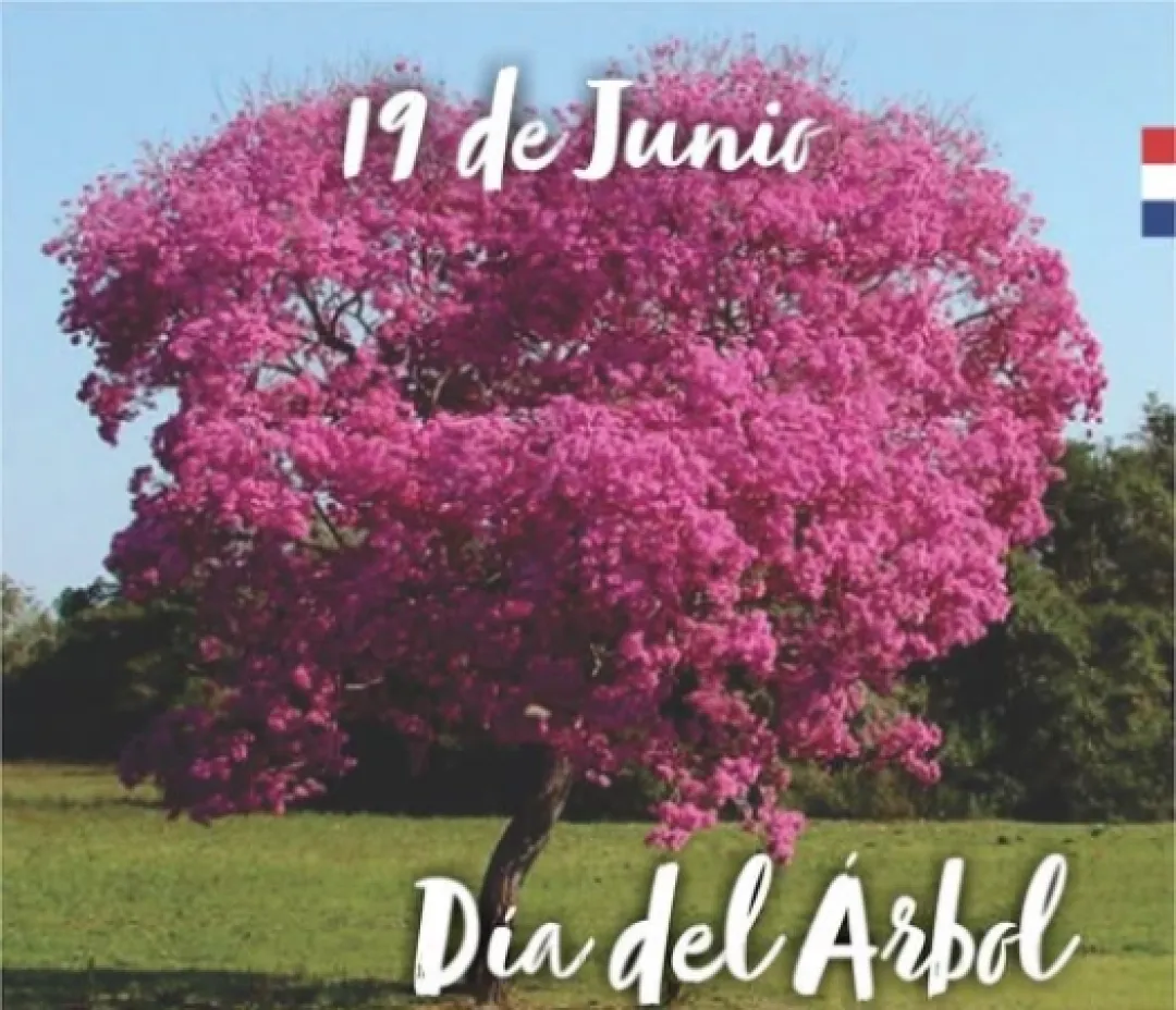 19 de junio: Día del Árbol en Paraguay
