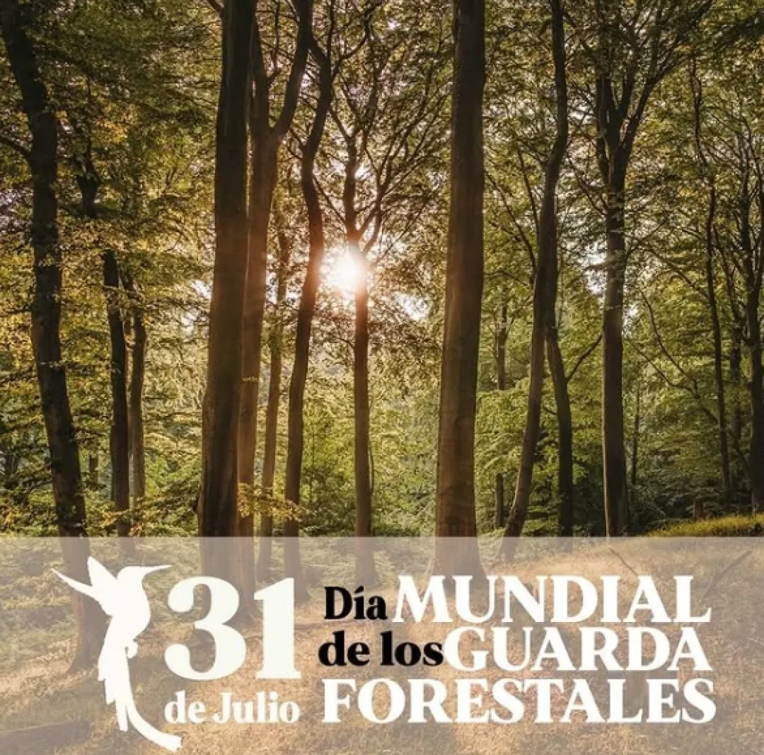 31 de julio. Día Mundial de los Guardas Forestales o Guardabosques