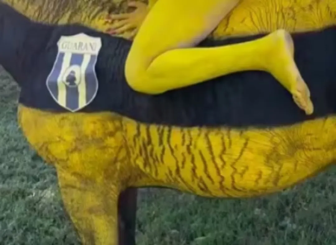 Pintura a un caballo: Defensa Animal califica el caso como antinatural y potencialmente sancionable