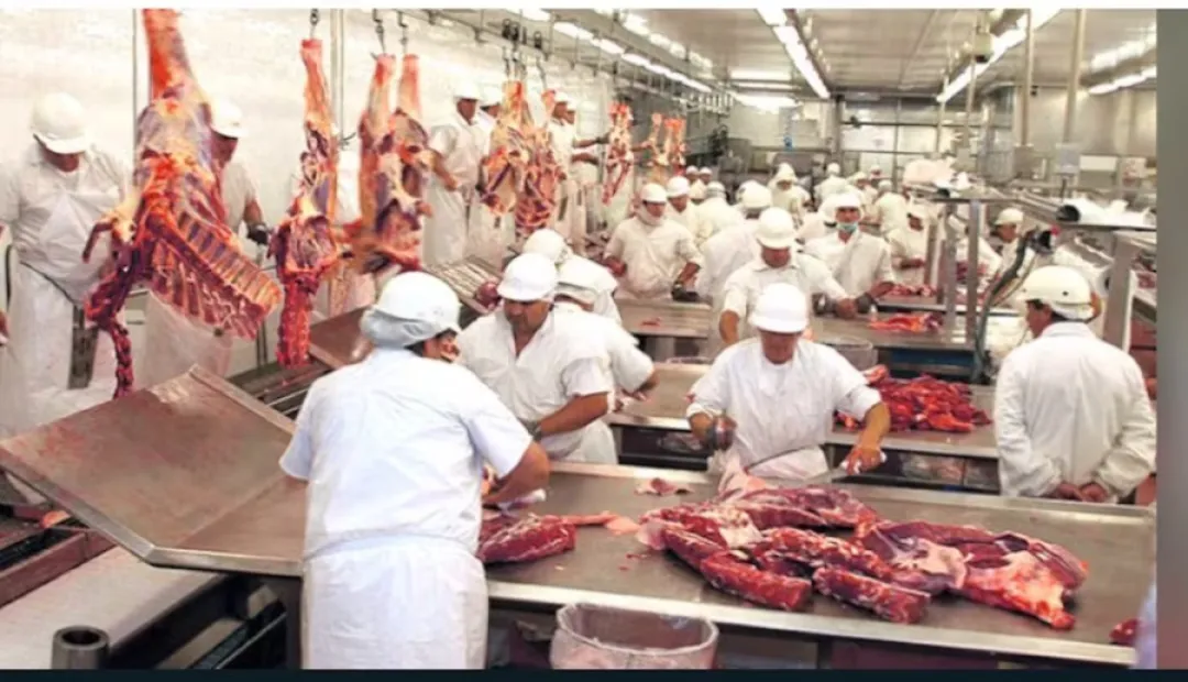 Mayor importación de carne brasileña es solución inmediata ante la cuestión del precios