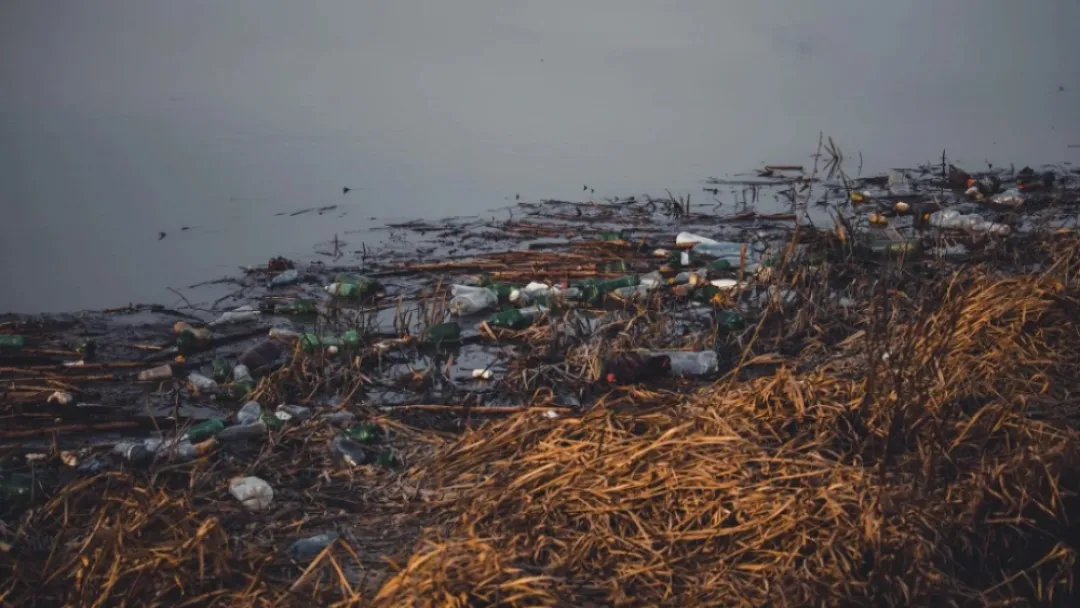 El mundo genera 220 millones de toneladas de plástico y recicla menos del 10%