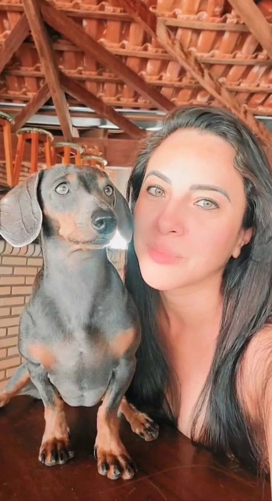 Denuncia  anónima de muertes de gatos no confirmado en Pedro Juan